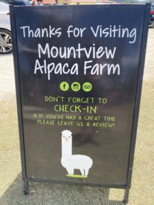 Mountview Alpaca Farm Wheelchair Access Review 768x1023 1 225x300