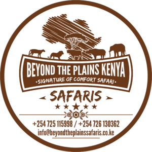 btpk safari logo 2 1 300x300